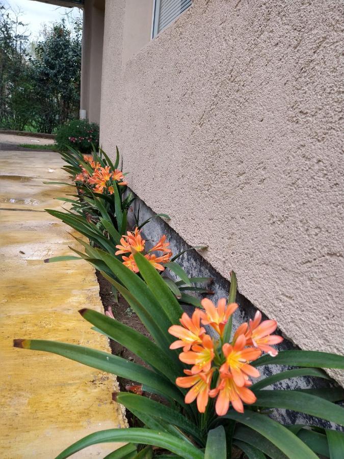 Orange Apartment Rio Cuarto Luaran gambar